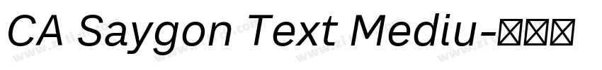 CA Saygon Text Mediu字体转换